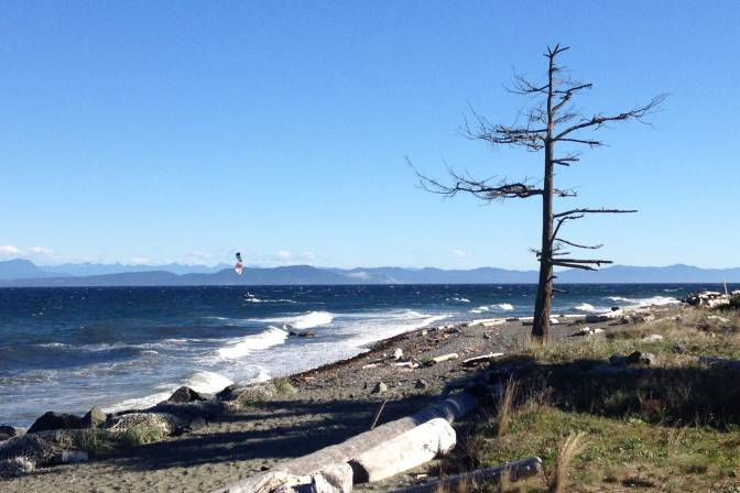 ken-kristmanson-comox