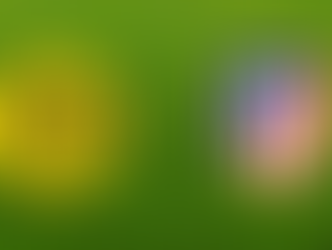 بث مباشر مباراة اتلتيكو مدريد وبروسيا دورتموند 24-10-2018 اليوم 9م