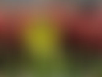 تعرف على القائمة الرسمية لطلائع الجيش لمواجهة الأهلى