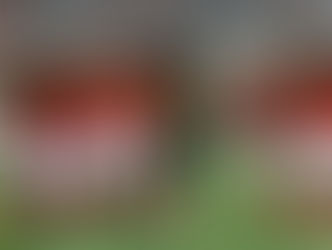 طبيب الاهلى يكشف مدى أصابة وأزارو وأيمن أشرف