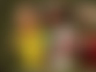 بالفيديو : صلاح يتصدر قائمة هدافي البريميرليج