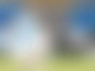 الاهلى يعلن موقفة من ضم محمد مجدى افشة