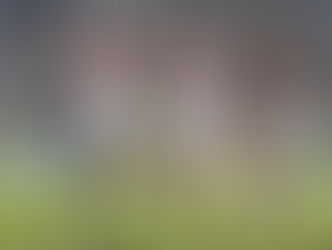 الزمالك يتقدم بهدف نظيف على بتروجيت بملخص الشوط الاول