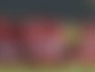 الأهلى يتسقر على قيد هذا اللاعب فى افريقيا قبل غلق باب القيد