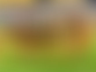 عاجل : تعرف على التشكيل الرسمي للانتاج الحربي لمواجهة الاهلى