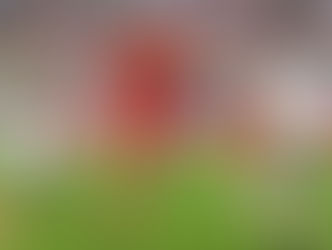 كابتن مصر : رسمياً موناكو يتعاقد مع الروسي جولوفين