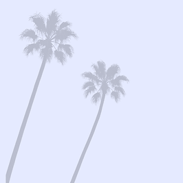 119.png