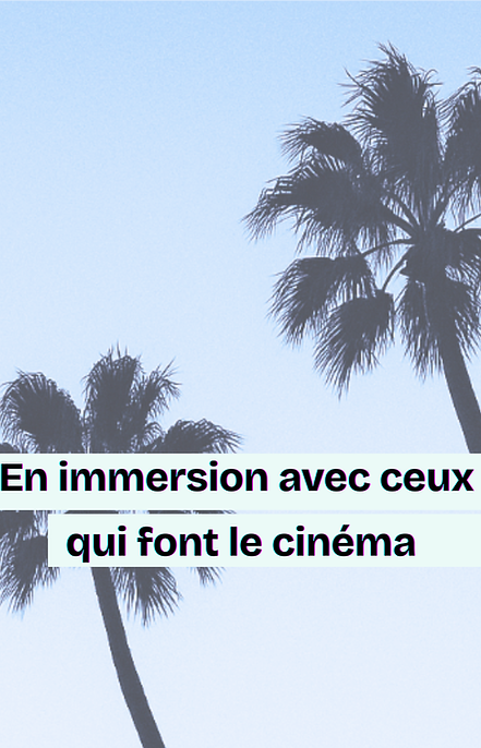 photo fond bleu avec palmiers et texte