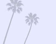 117.png
