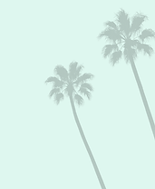 117.png