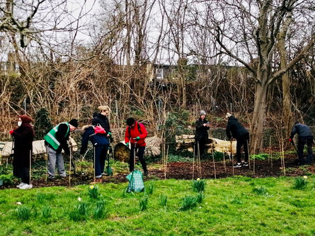 Planting more trees in Wimbledon Park