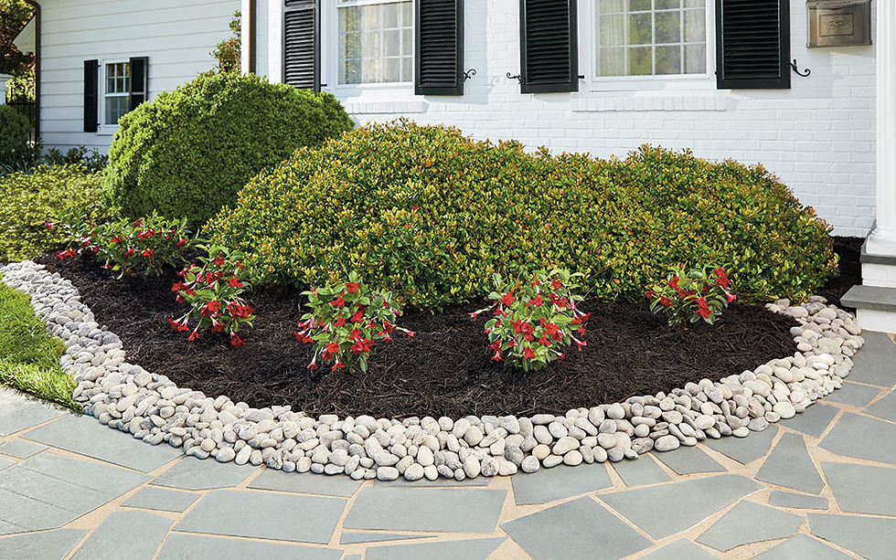 Landscaping Pros and Cons of Rocks Vs Mulch