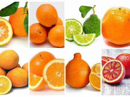Antioxidants: Why you should grab an Orange
