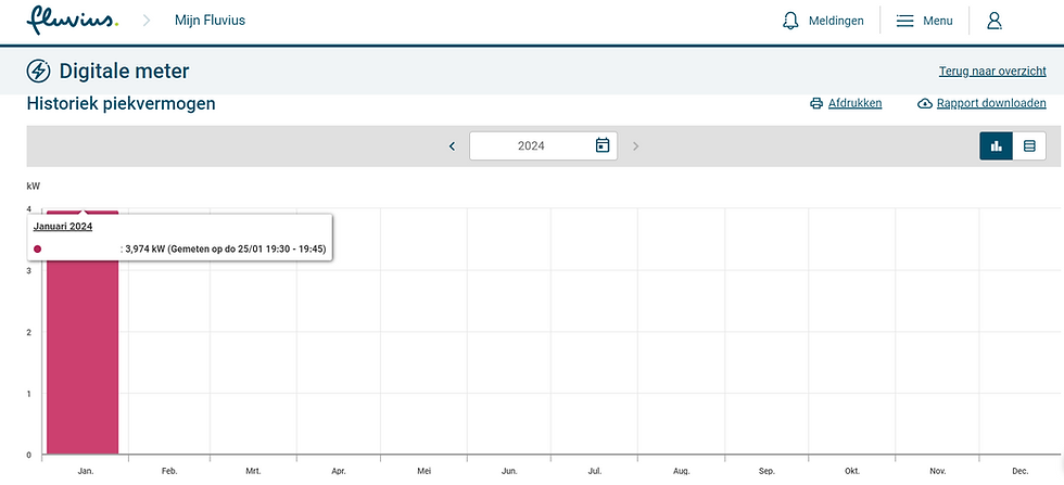 Piekvermogen van digitale meter op mijn fluvius