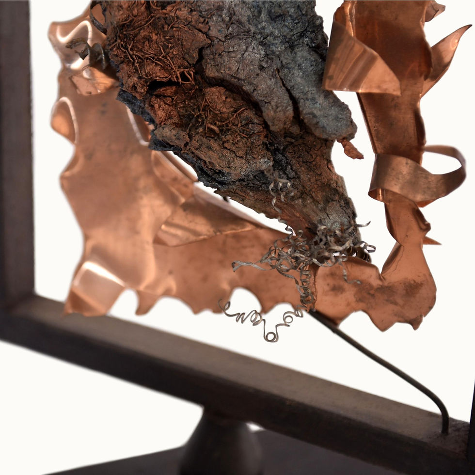 Thumbnail: Deriva 2007 LANTINI