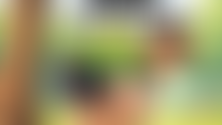 Aš visiškai neturiu lankstumo… ESU KAIP MEDIS!!!