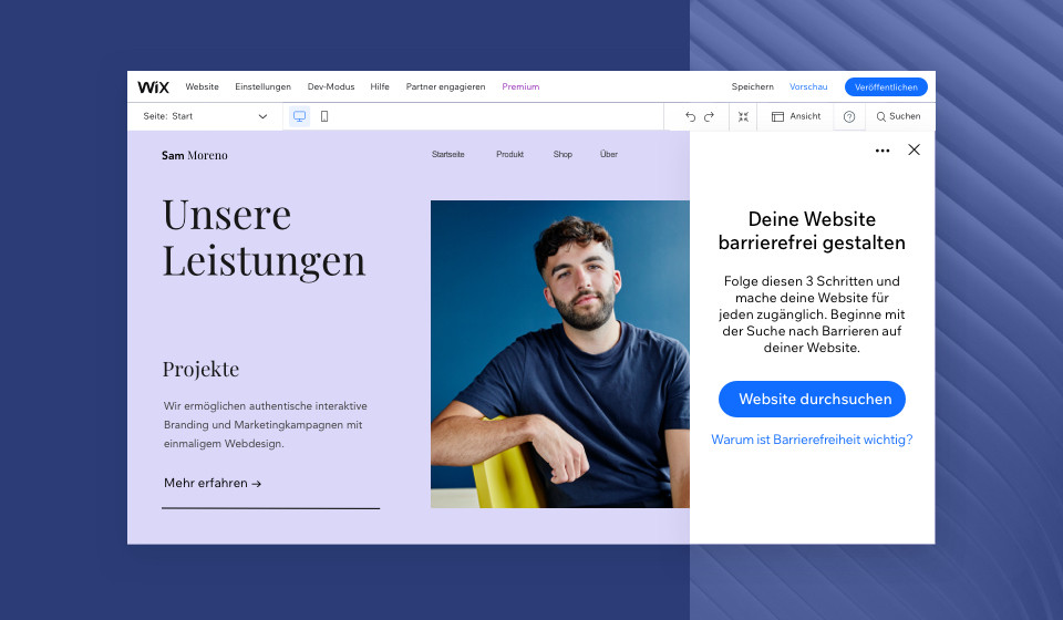 Startansicht des Wizard für Barrierefreiheit im Editor von Wix