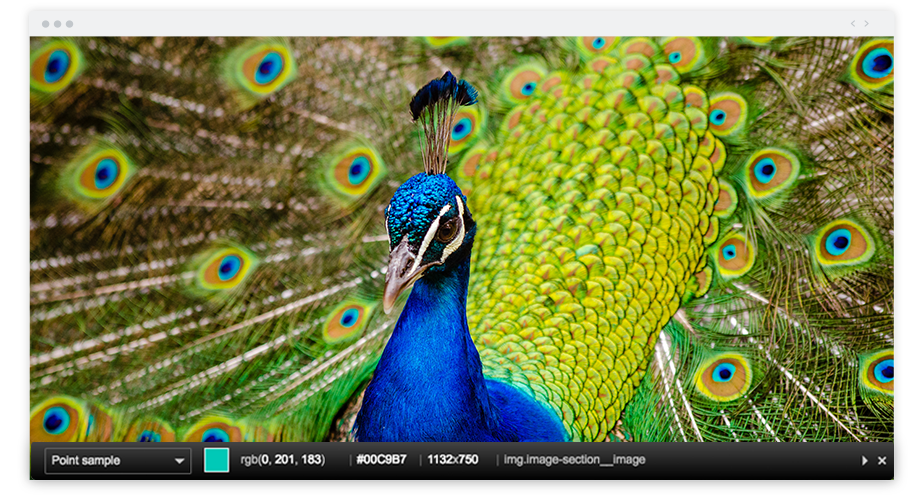 Best Chrome Extensions for Photographers Colorzilla