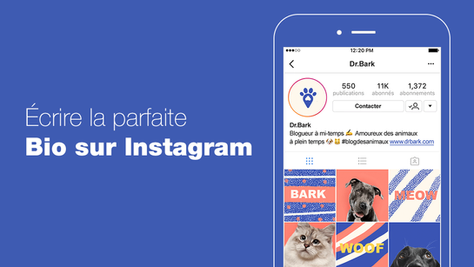 Comment rédiger la parfaite bio Instagram ? (+ Exemples)