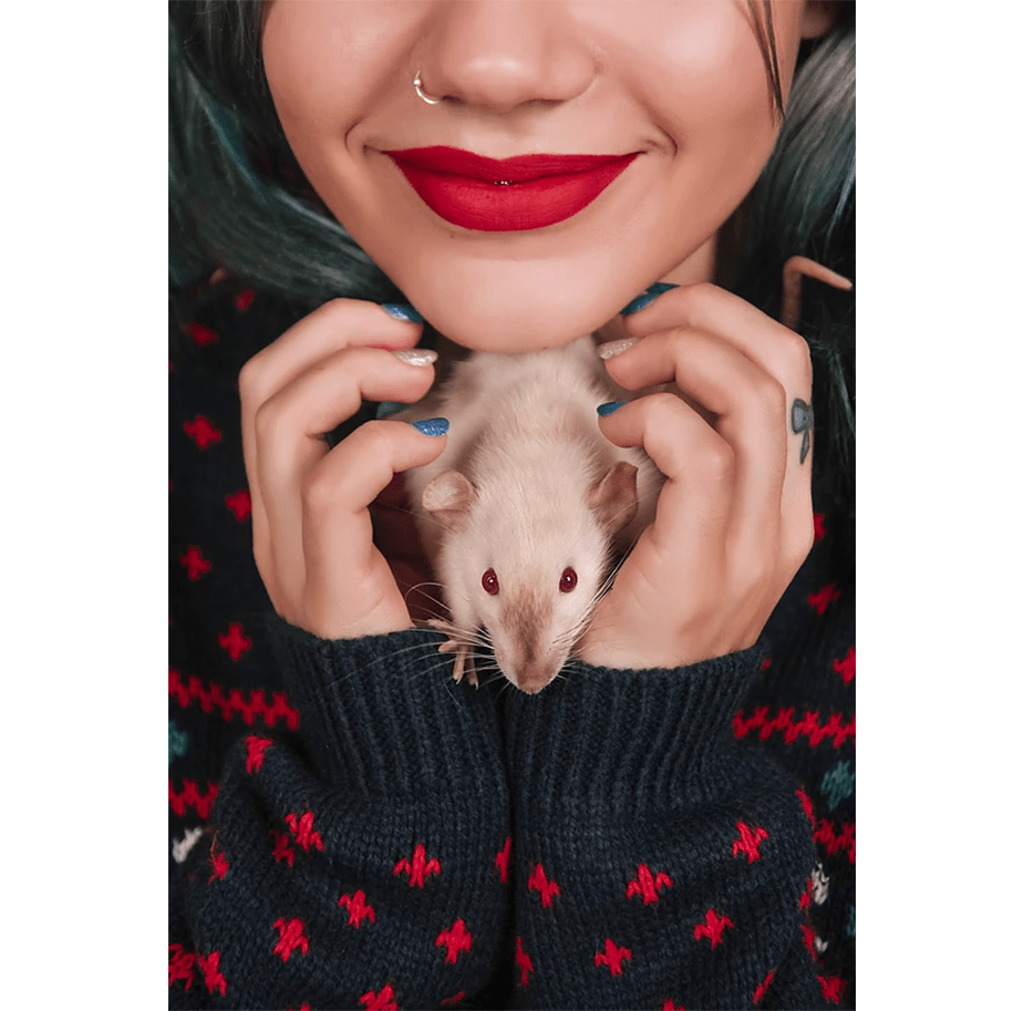 Fotografía de Mascotas Wix por Javier-Retales-Botijero