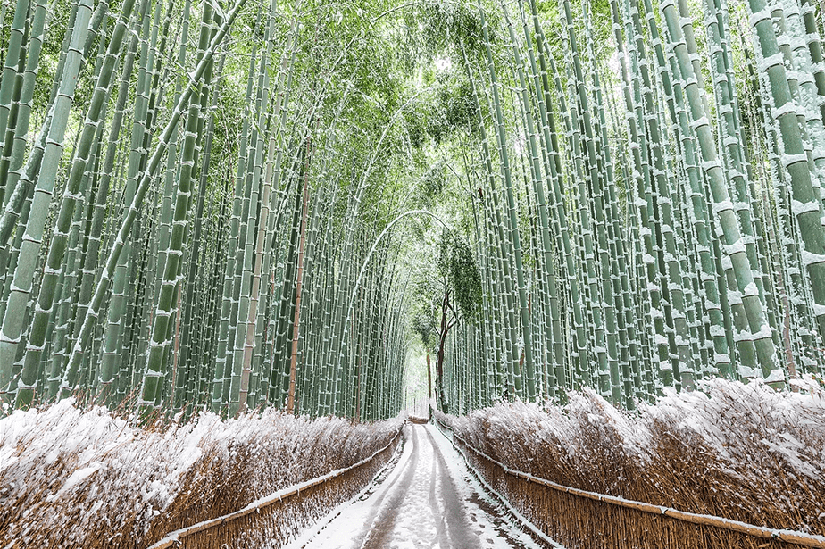 Takahiro-Bessho