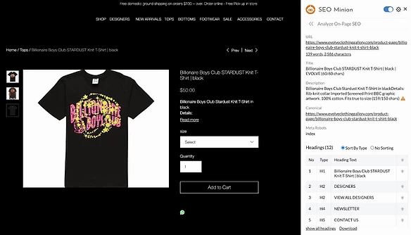 Panoramica ottimizzazione SEO sito Evolve Clothing Gallery