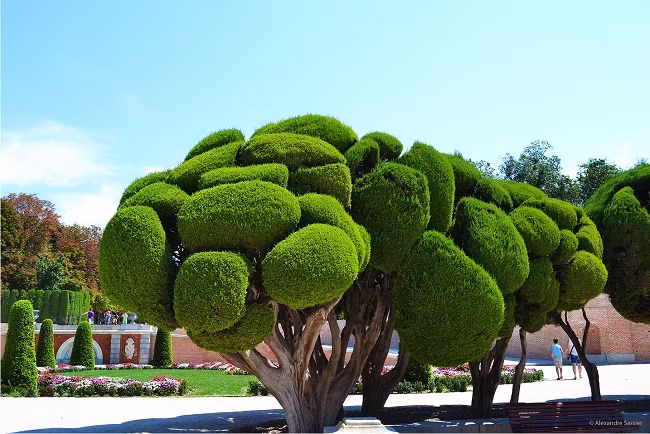 ALEXANDRE SASSIER TRAVEL PHOTOGRAPHY Madrid