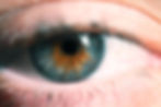 extreme close-up van een oog blauw met bruine iris