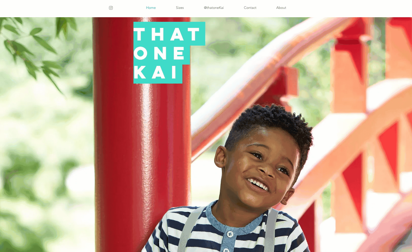 Portafolio de Kai Williams