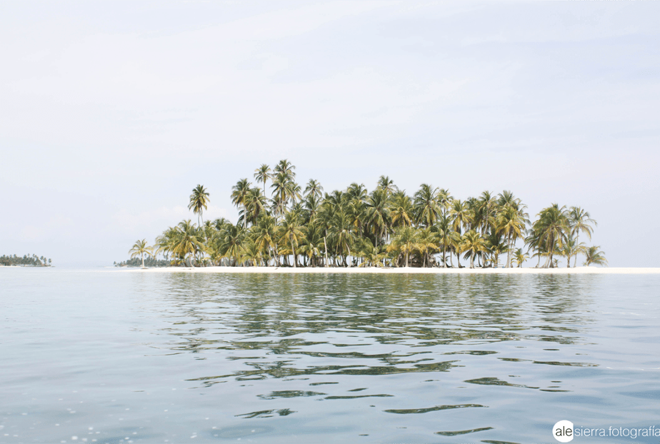 deserted island with palm trees seen from the sea water