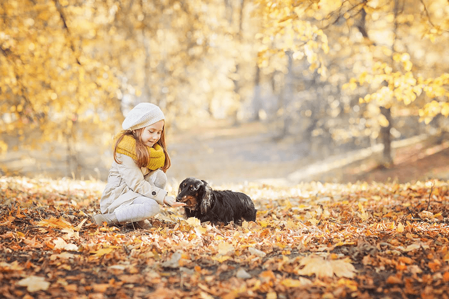 little girl feeding dog on field