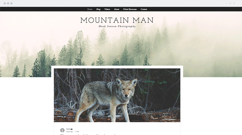 Exemples de blogs Wix