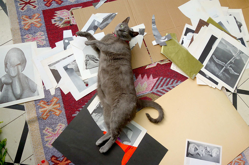 Dana Darvish: The Artist is Present