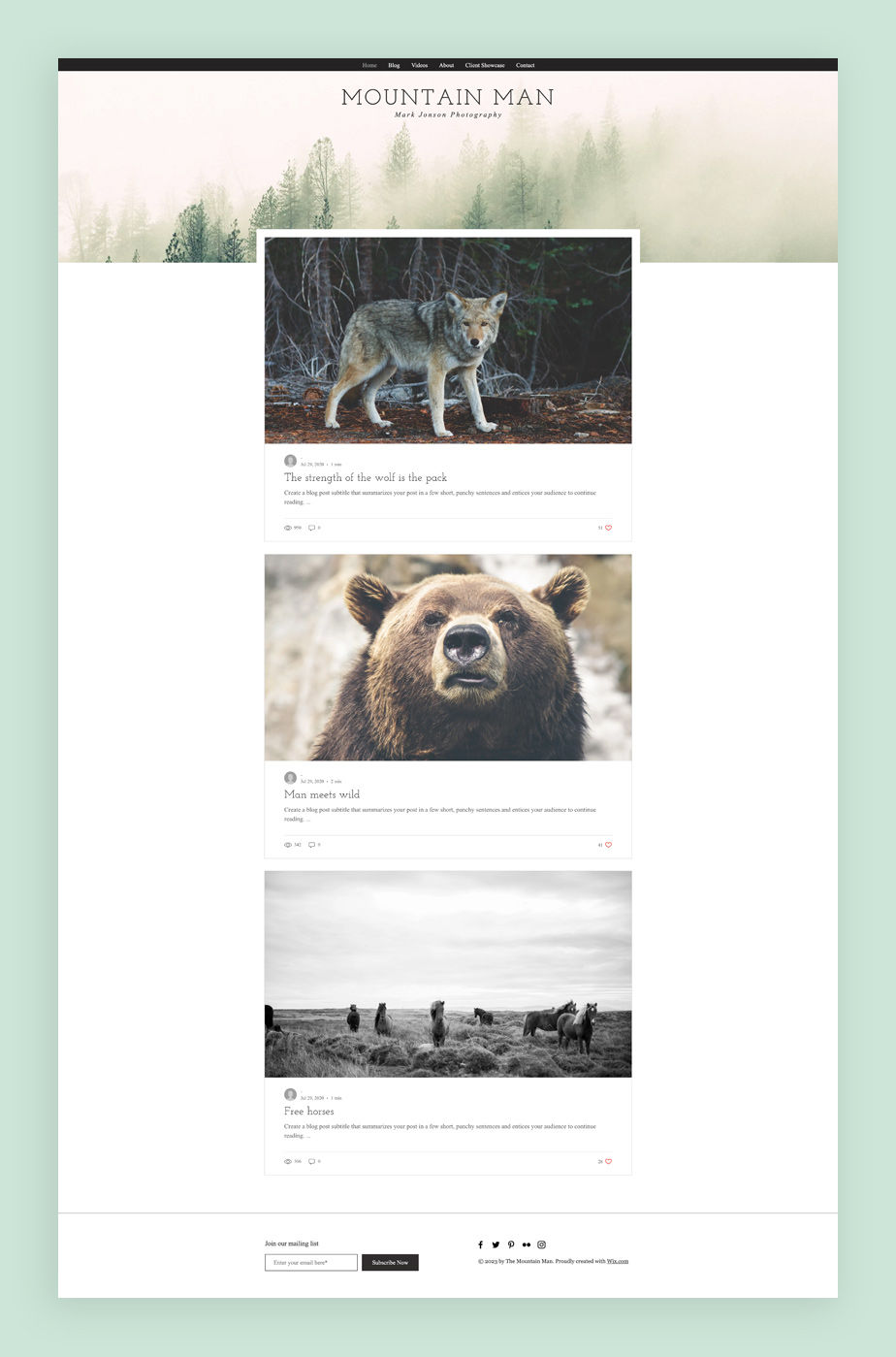 Najlepsze szablony blogów: szablon bloga fotograficznego