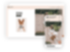 GIF esempi ottimizzazione seo desktop e mobile
