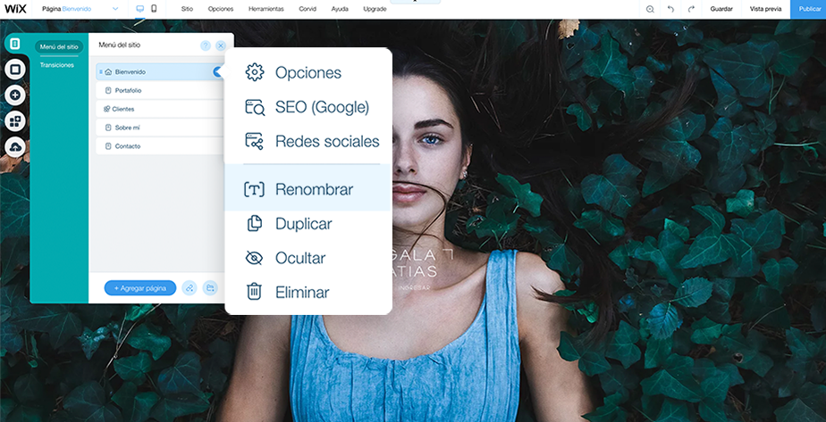 ejemplo de como crear una página splash ene el editor de Wix