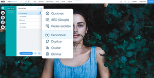ejemplo de como crear una página splash ene el editor de Wix