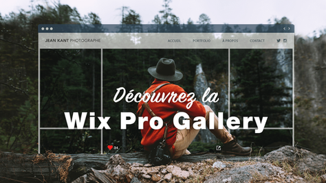 7 bonnes raisons de choisir la Wix Pro Gallery
