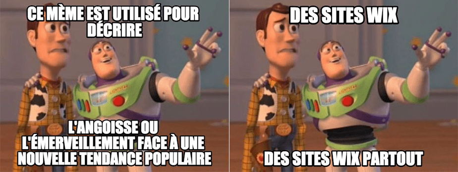 Mème : ils sont partout...
