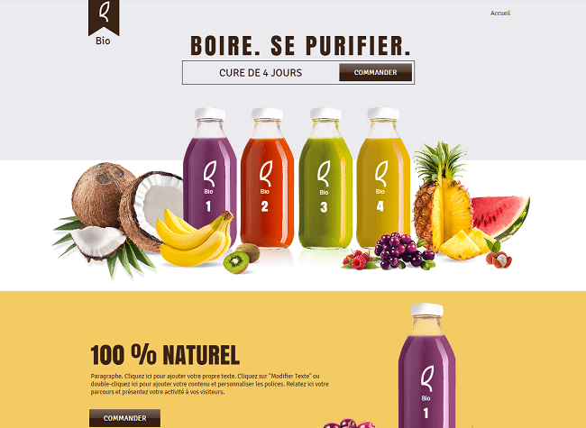 Landing Page Marque Template de Site WIX3