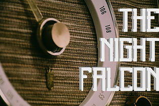 night falcon.jpeg