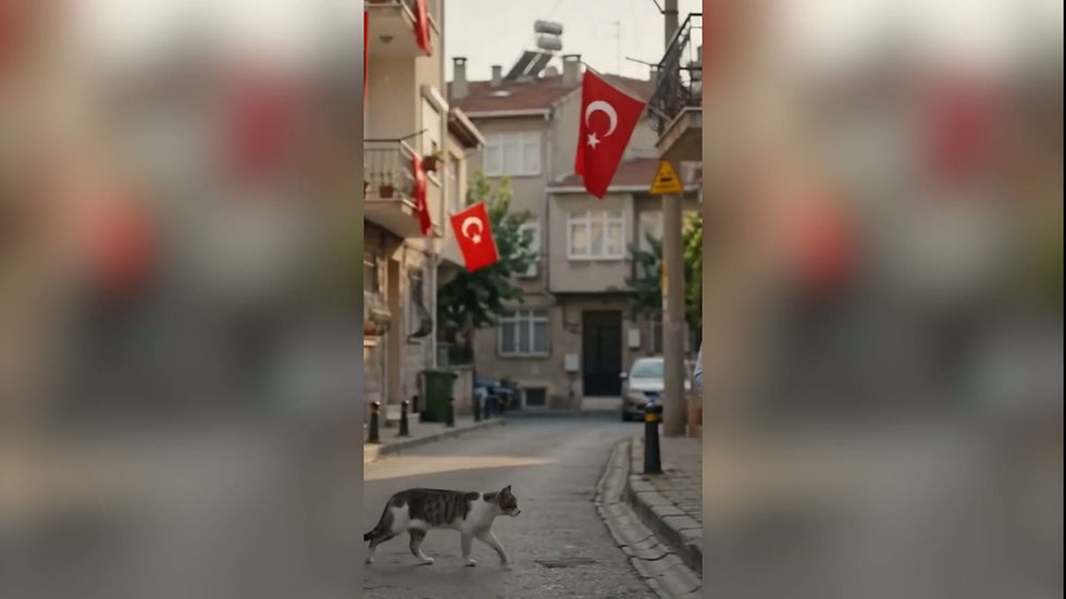 Sequence 01.mp4