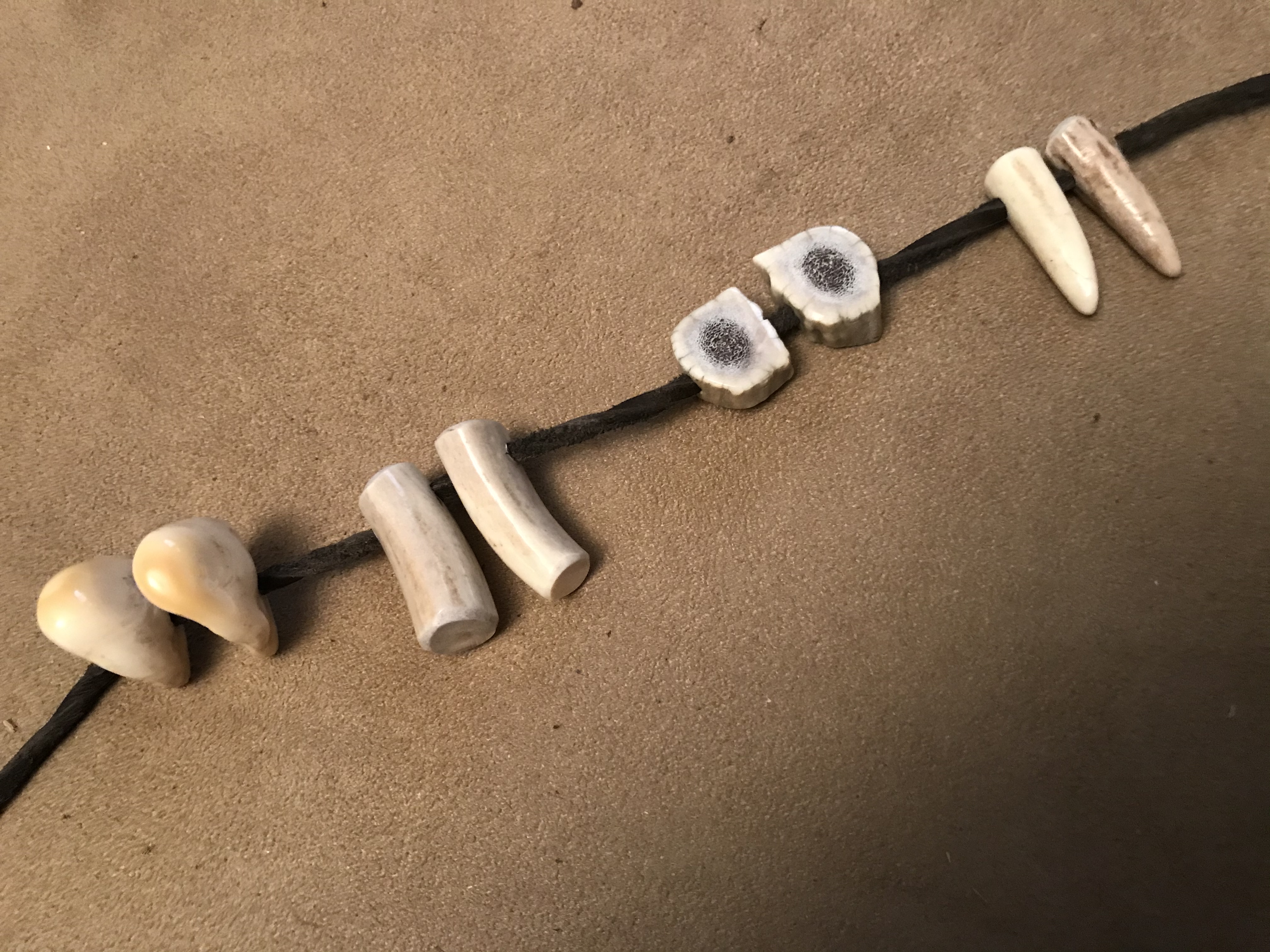 Elk Ivories and Antler Options