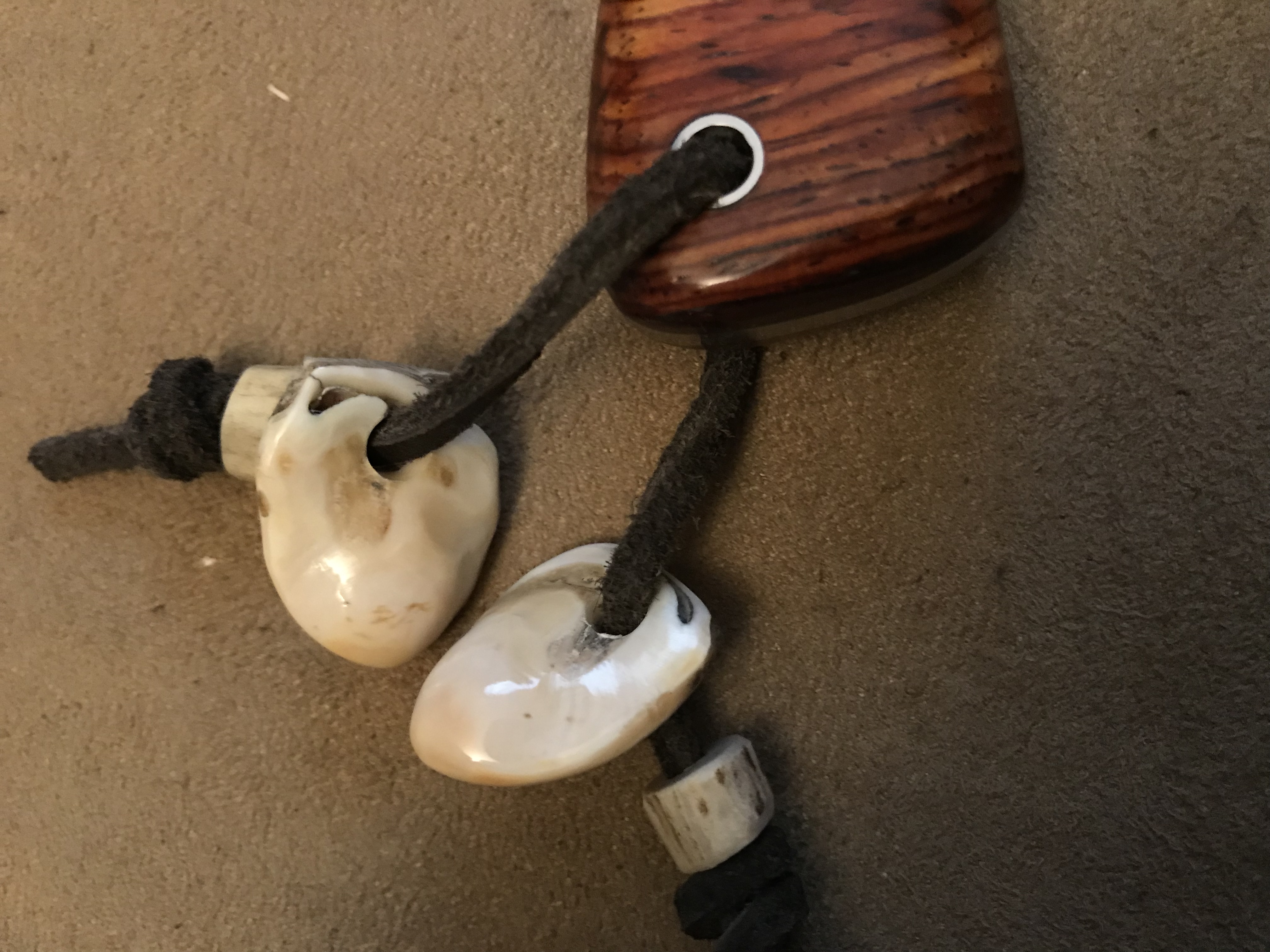 Elk Ivory Teeth