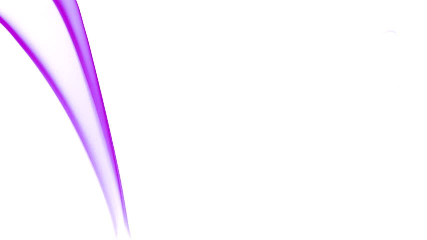 purplewhite.jpg
