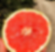 Grapefruit
