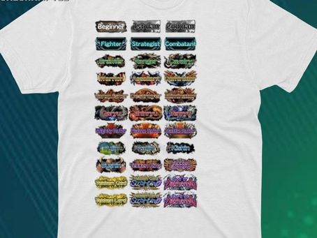 Ranks In Tekken 8 Beginner 1St Dan 2Nd Dan Fighter Strategist Combatant Shirt