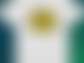 Rome Hero Foxes Schoolhouse 2024 Shirt