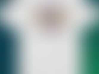 LSU Tigers Women’s Basketball 2024 Sweet 16 T-Shirt