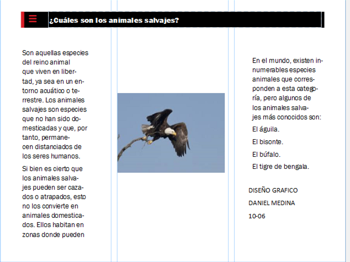 publime2.PNG